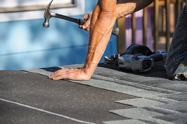 Affordable Storm Damage Roof Repair solutions in Frankenmuth, MI